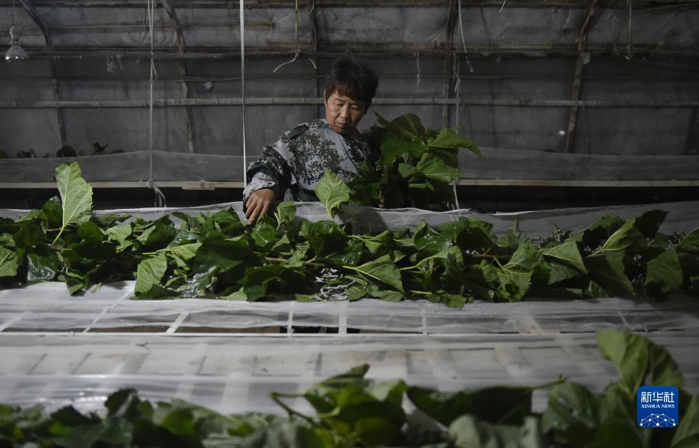 网络游戏平台